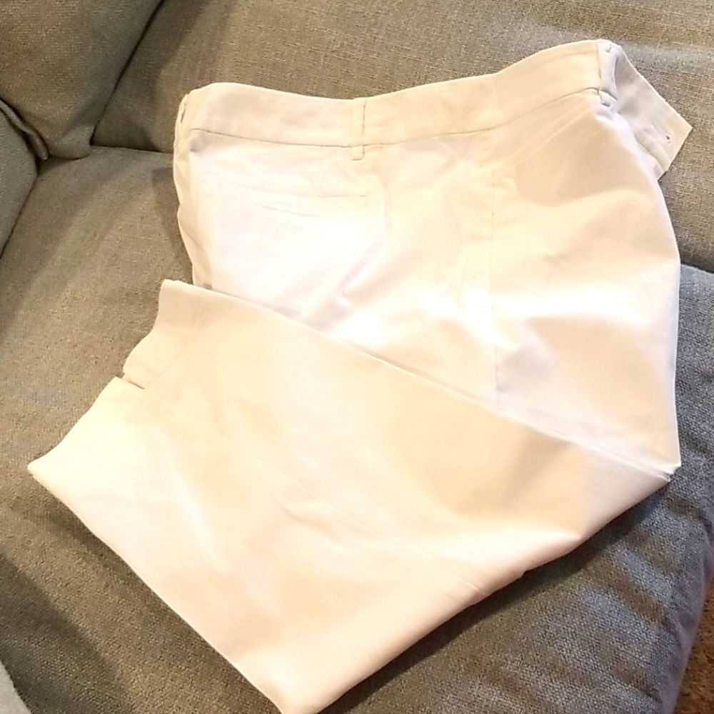 NWT Ann Taylor LOFT PANTS
